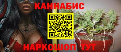 индика Краснознаменск