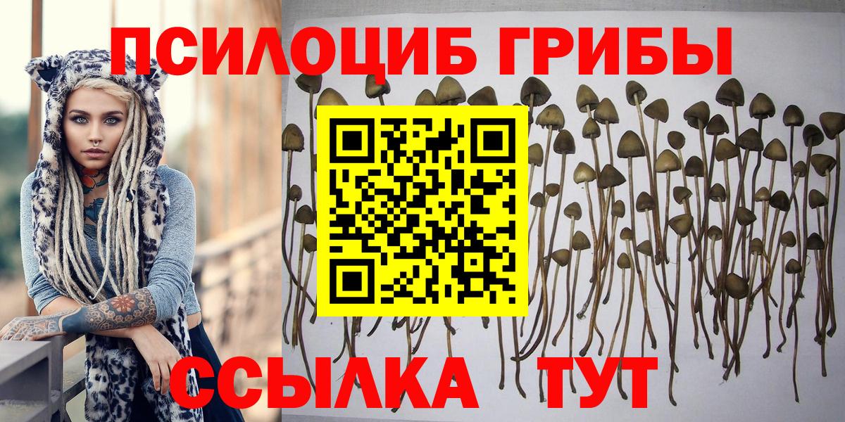 Кувандык  Псилоцибиновые грибы Magic Shrooms  Вход с VPN 