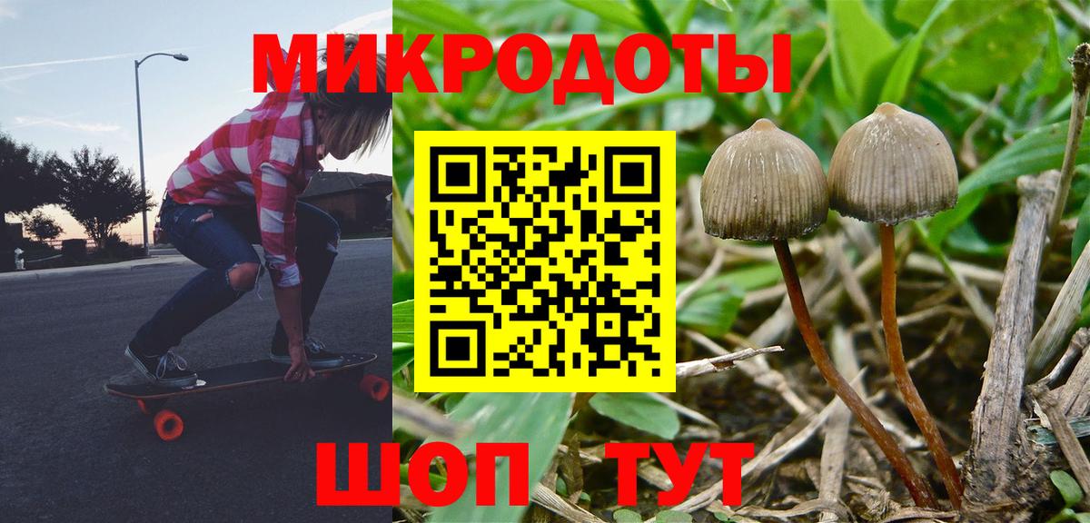 Галлюциногенные грибы прущие грибы Кувандык